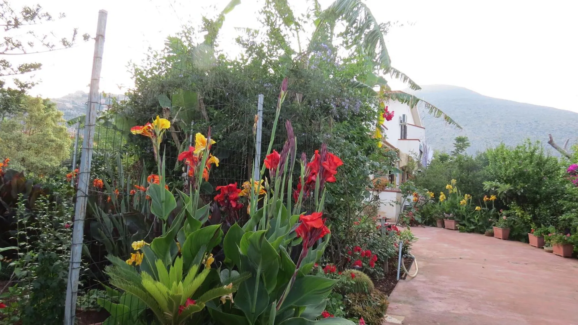 Il Roseto Di Betty E Salvo Villa Palermo